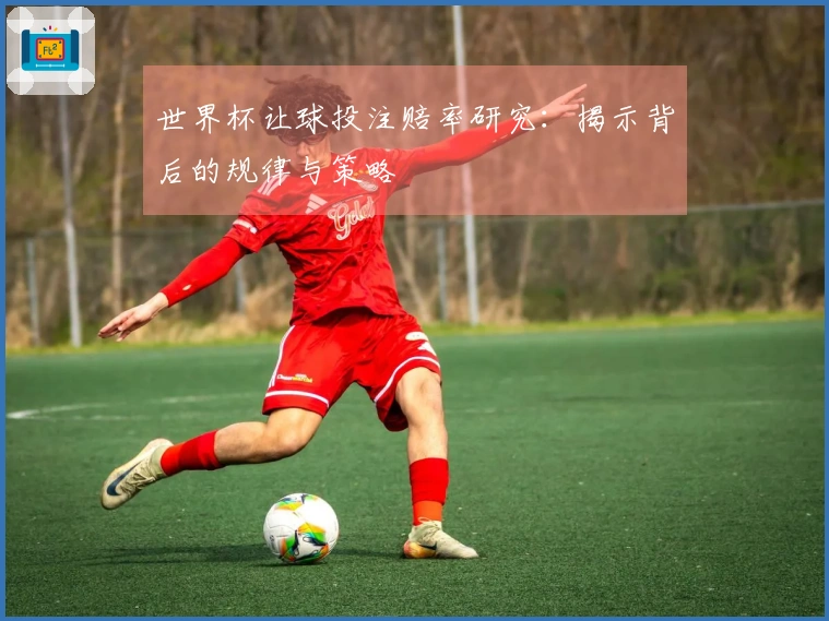 世界杯让球投注赔率研究：揭示背后的规律与策略