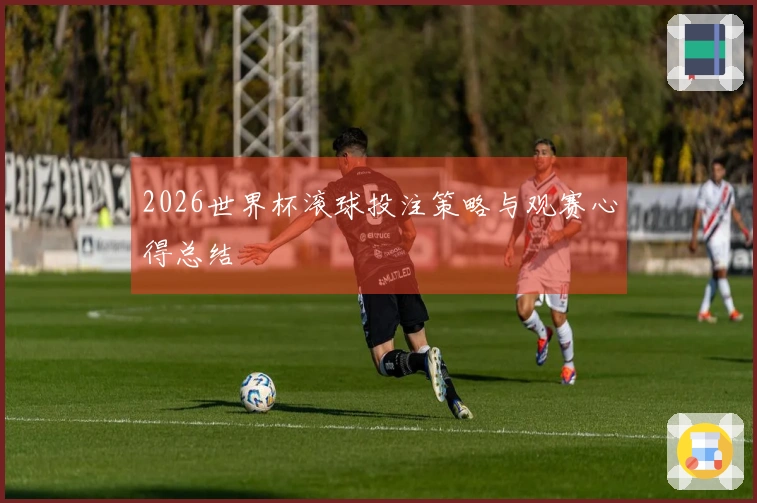 2026世界杯滚球投注策略与观赛心得总结