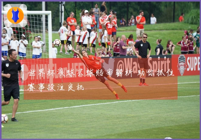 世界杯滚球买球赔率解析 助你抓住赛事投注良机
