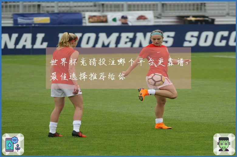 世界杯竞猜投注哪个平台更靠谱，最佳选择推荐给你