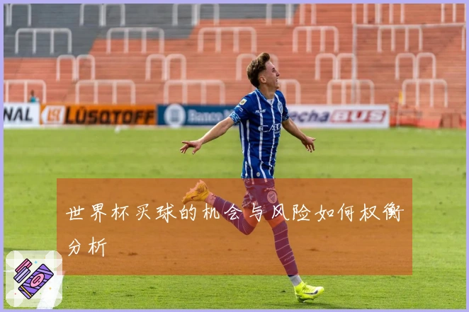 世界杯买球的机会与风险如何权衡分析