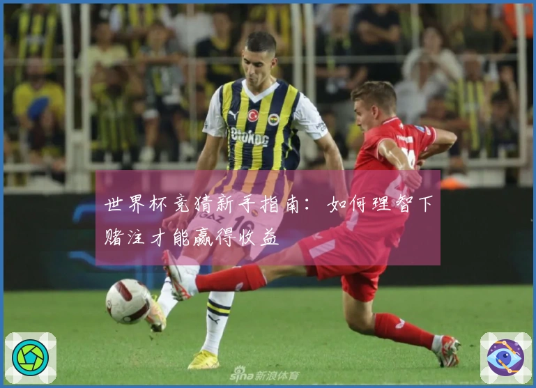 世界杯竞猜新手指南：如何理智下赌注才能赢得收益