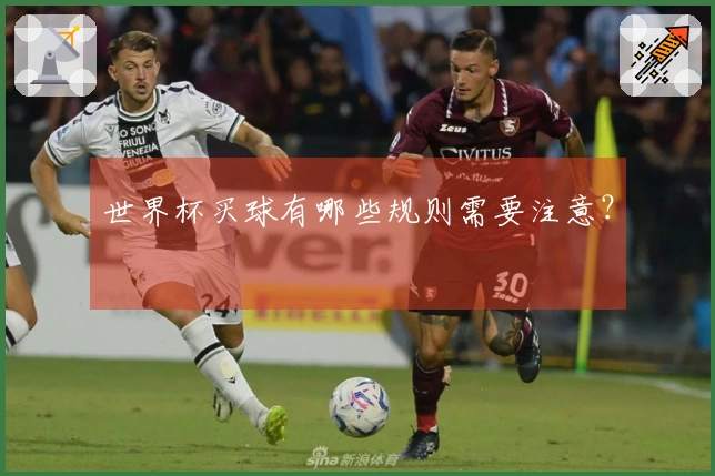 世界杯买球有哪些规则需要注意？