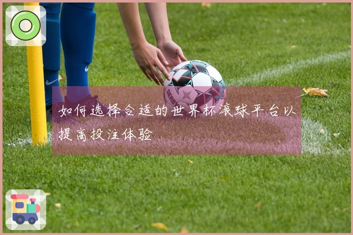如何选择合适的世界杯滚球平台以提高投注体验