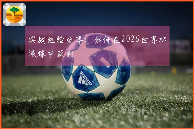 实战经验分享：如何在2026世界杯滚球中获利