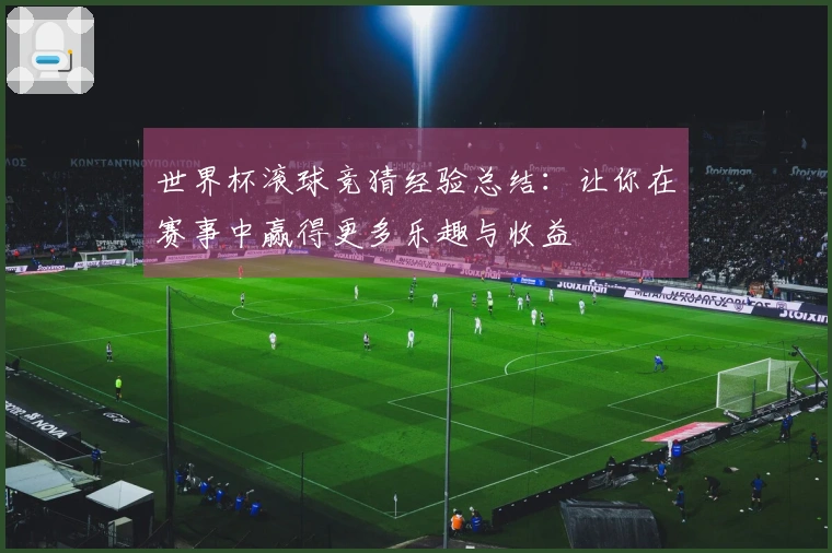 世界杯滚球竞猜经验总结：让你在赛事中赢得更多乐趣与收益